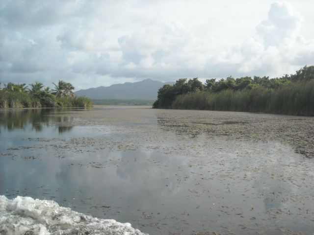Resultado de imagen para Reserva cientifÃ­ca Laguna RincÃ³n Redonda y LimÃ³n